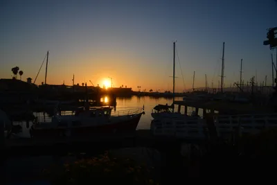 DSC_7305 (Large).JPG